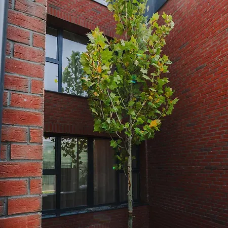 アパート Cometei 2 *