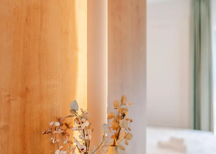 Cometei 2 * Kluż-Napoka