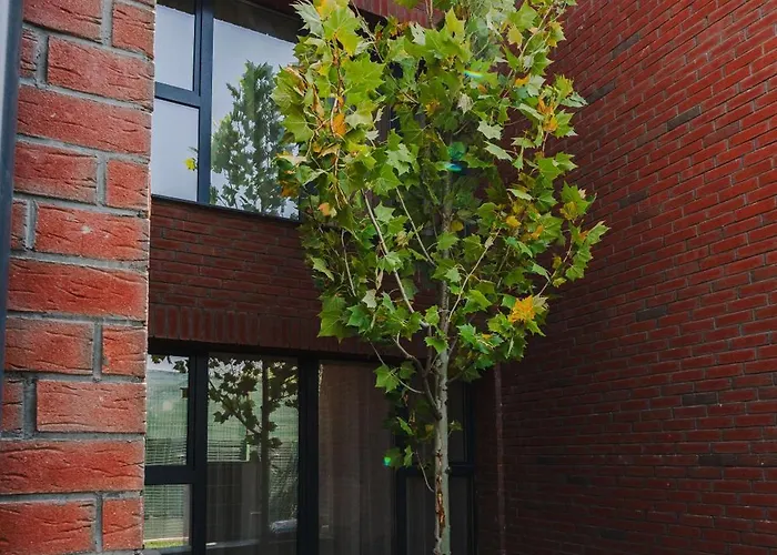 Apartament Cometei 2 *